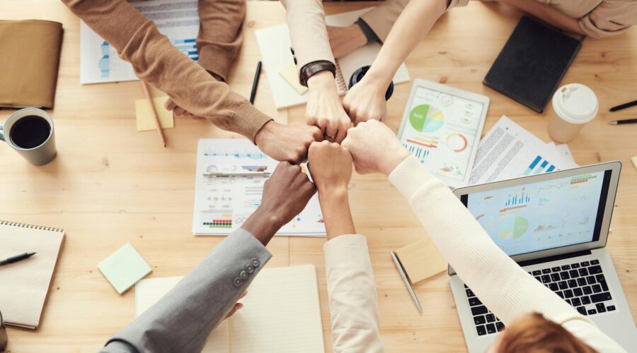 photo of people having fist bump